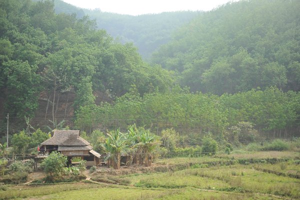 Dai countryside