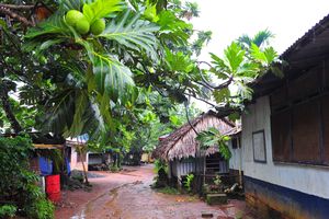 Pohnpei village
