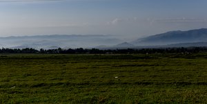 Morning mist Volcanoes National Park