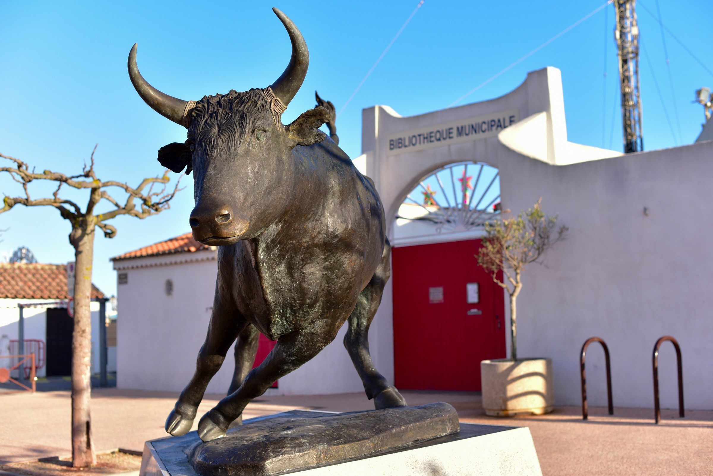 Bull Fighting Arena 