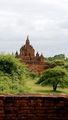 TEMPLE RISING FROM SURROUNDING GARDEN