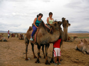 Astride our camels