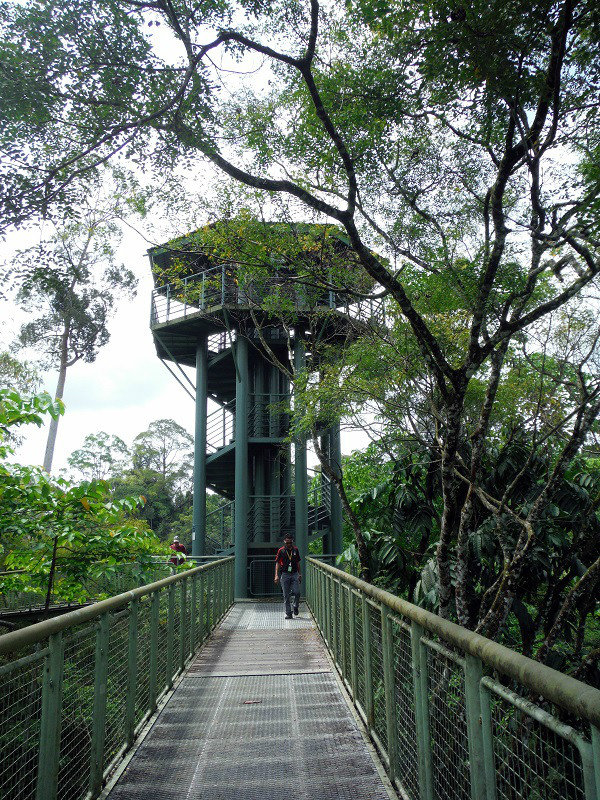 Viewing Tower