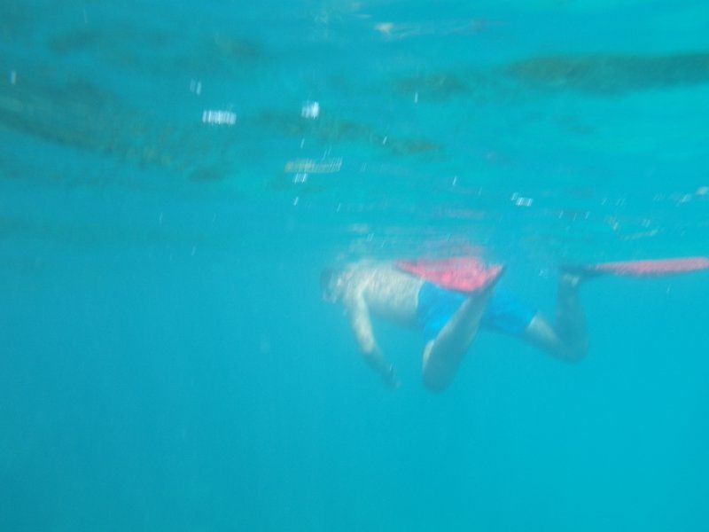 alan snorkelling and searching