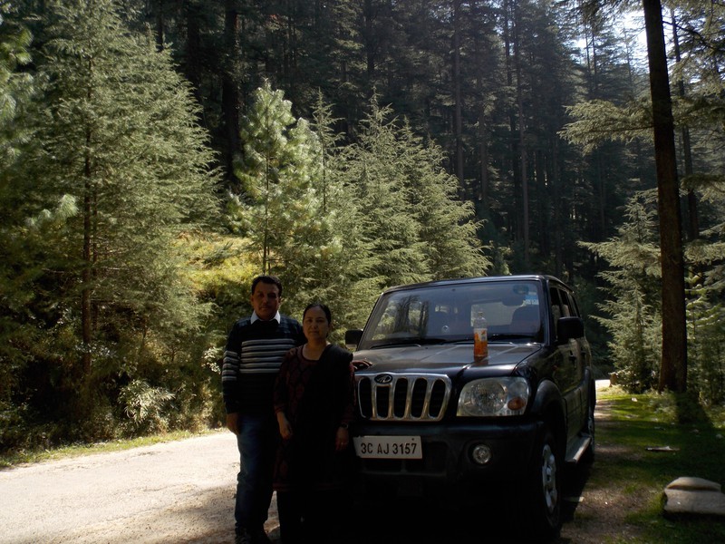11 Pine forest road before Jalodi Pass climb 