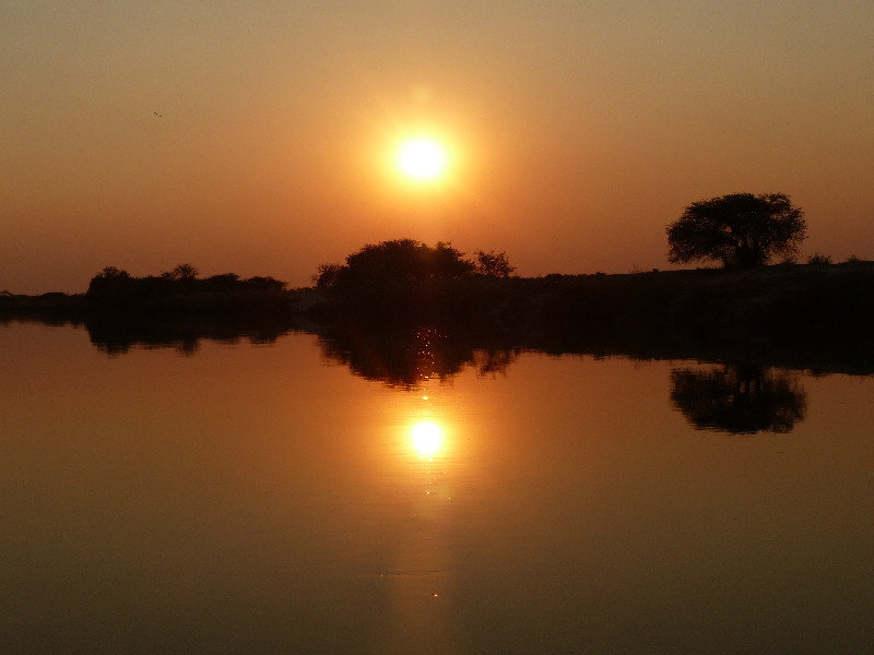 Okovango Sunset
