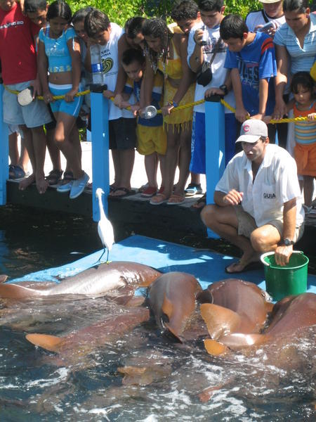 Rosario Islands - Aquarium