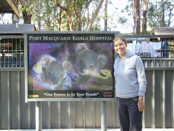 Koala Hospital - unfortunately no Rolf