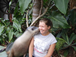 Seal it with a kiss