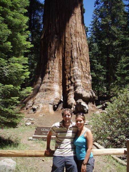 General Grant - only the 3rd biggest tree in the world