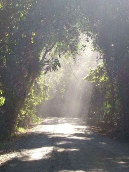 End of the road - Cape Tribulation