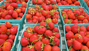 FarmersMarketTime_Strawberries