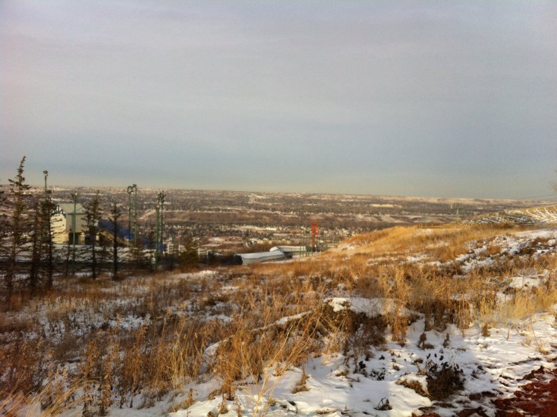 A view of Calgary 