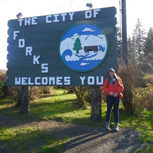 Welcome to forks!