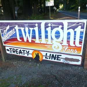 Twilight fans flocked to forks 