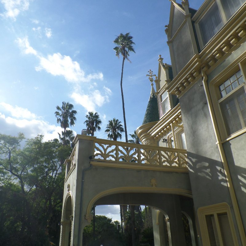 Palm trees and Kimberly place 