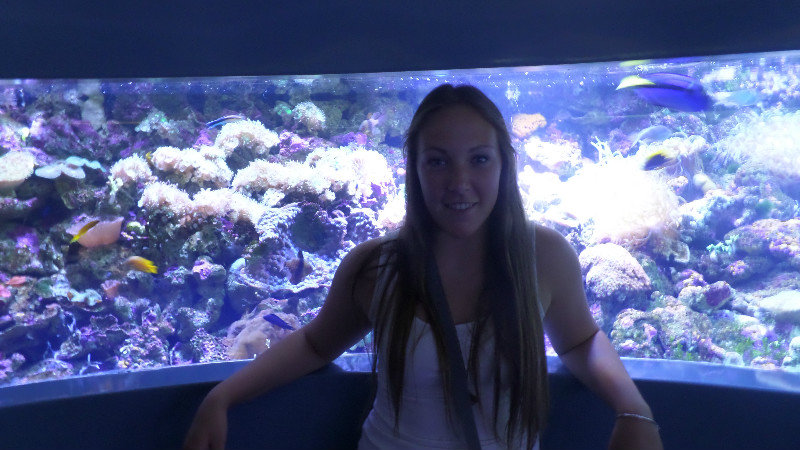 I love aquariums