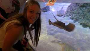 Well hello there little sting ray!