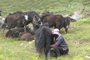 2013-07 Tibet 0076