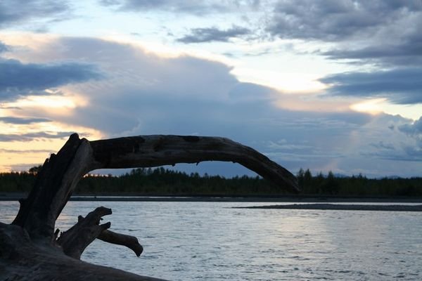 Another one @Talkeetna River