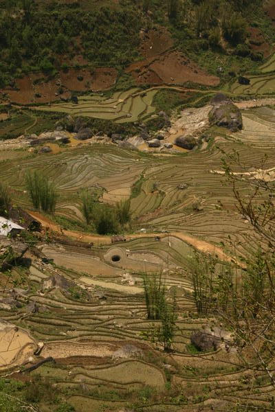 Sapa-rice terraces from above