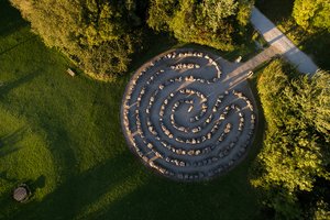 An overview of the labyrinth I found on Google