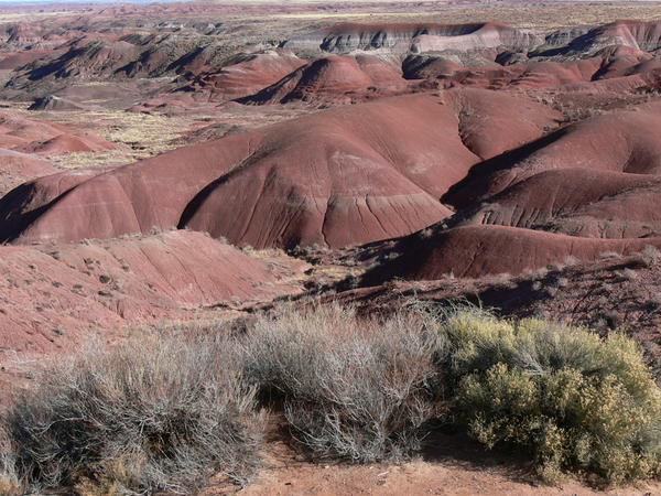 PAINTED DESERT - THE REDS