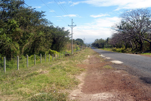 The road to Tamarindo