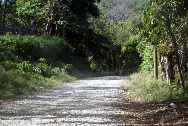 The Road to Monteverde