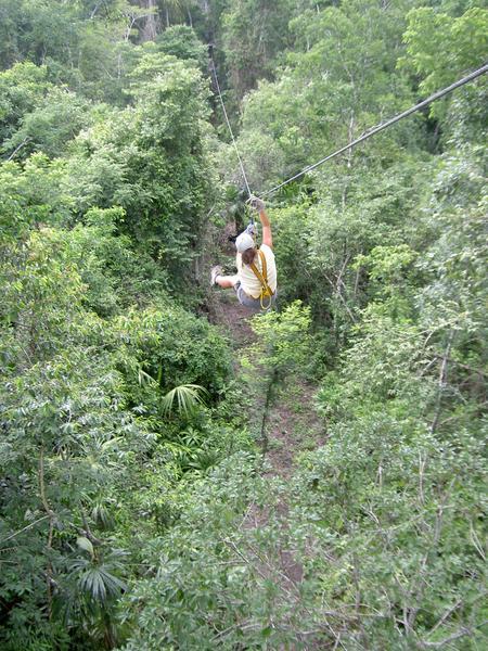Zip Lining through the Canopy