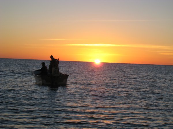 Dawn fishing trip