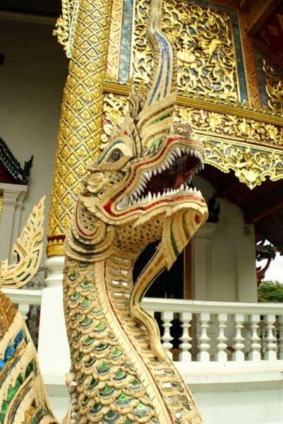 Dragon at the Wat