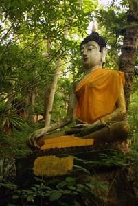 One of Many Buddhas