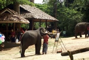 Elephants painting!