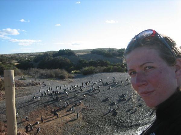 me and penguins