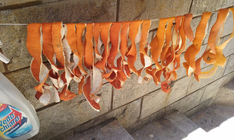 Orange peels drying in the sun