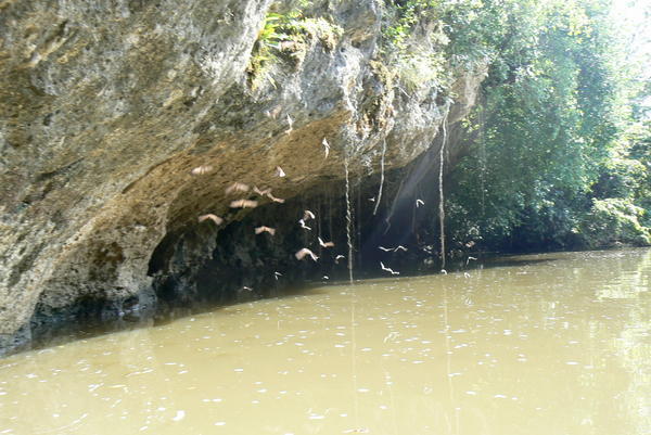 Batcave, Belize