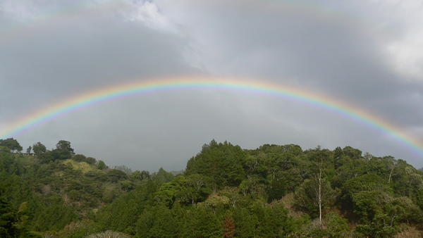 Boquete, Rainbow