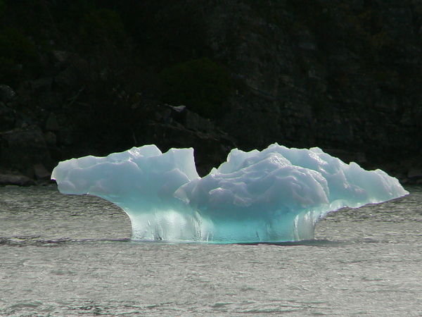 Ice berg whale fin.