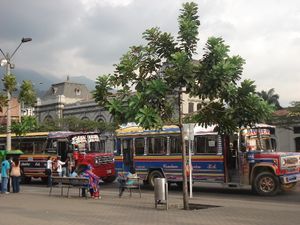 Medellin buses