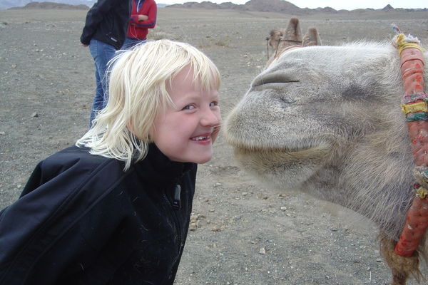 Kamel kys