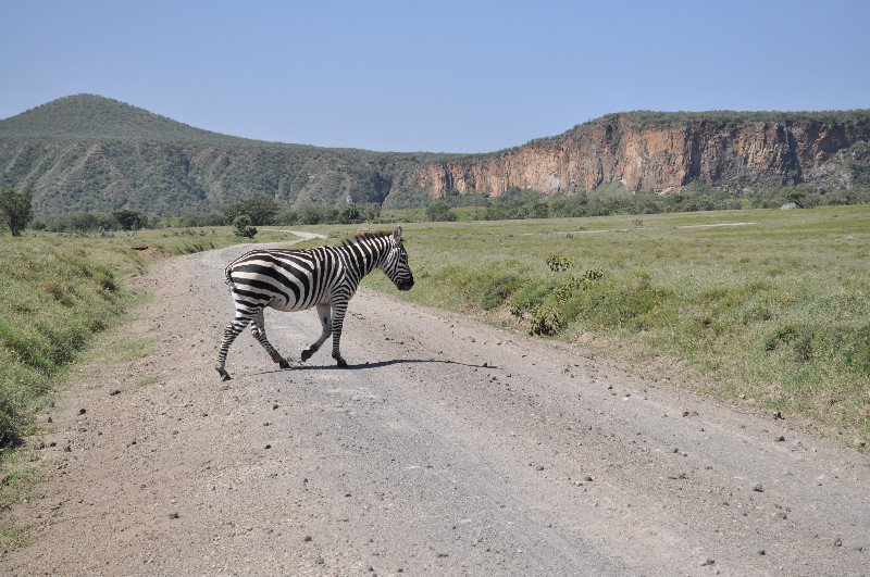 a zebra crossing! ;)