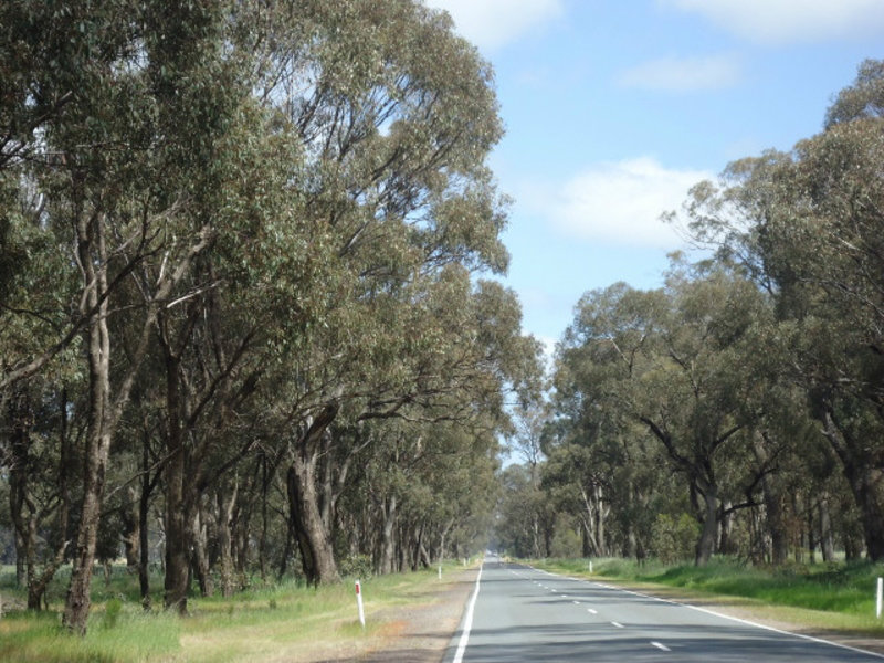 Typical Rural Highway