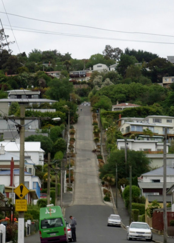Baldwin St - steepest road in the world