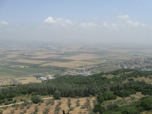 Valley of Jizreel/Megiddo