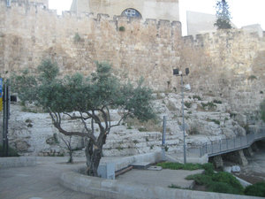 Jerusalem / Kidron Valley