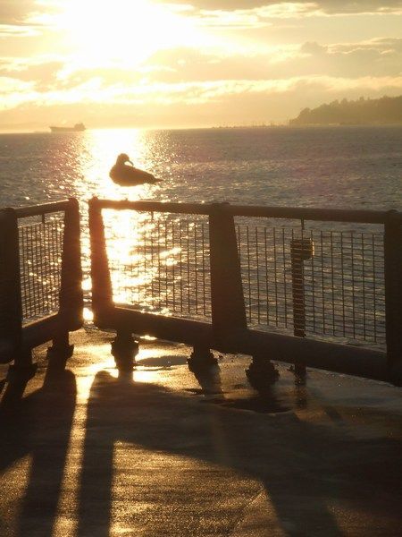 On the pier at sunset