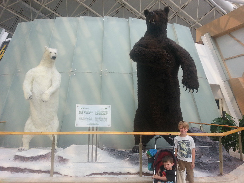 Big bears!