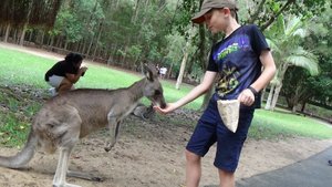 Australia Zoo!!!