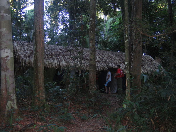 our "accommodation" in the jungle